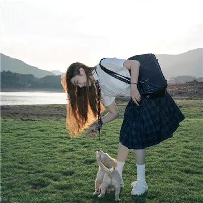 汪星卧底